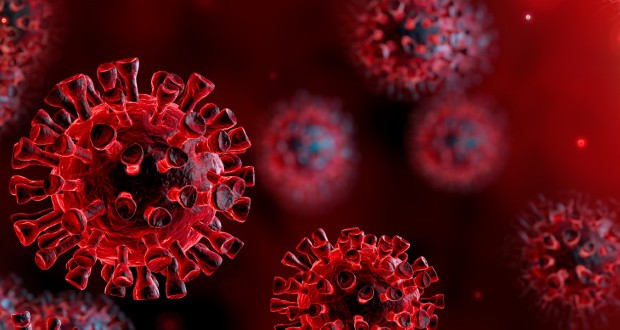 Továbbra is gyors ütemben terjed a fertőzés Ukrajnában