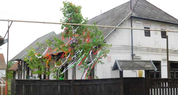 Kárpátalja ma: májusfa díszíti a Nagyberegi tájház kapuját