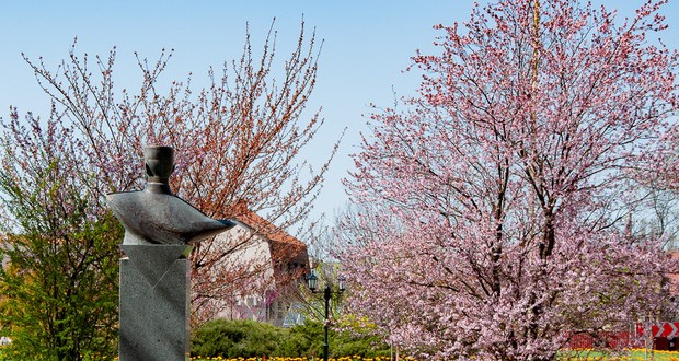 Kárpátalja ma: magányos szakurák