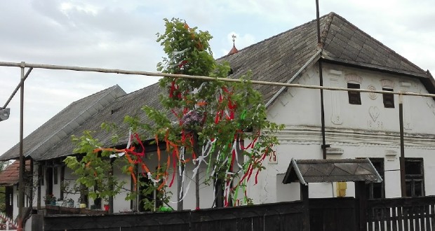 A májusfaállítás szokásáról