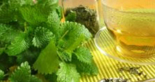 Mire jó a citromfű?