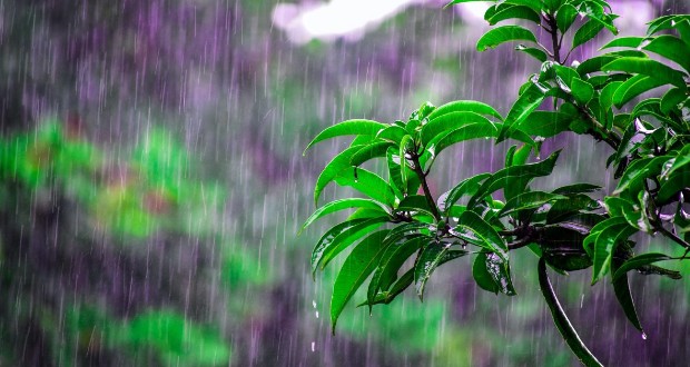 Hűvös és esős marad a tavasz utolsó hétvégéje