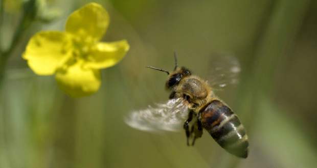 Meleg, helyenként felhős időre számíthatunk a nap folyamán