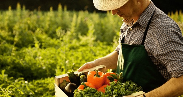 Ma ünneplik a mezőgazdasági dolgozók napját