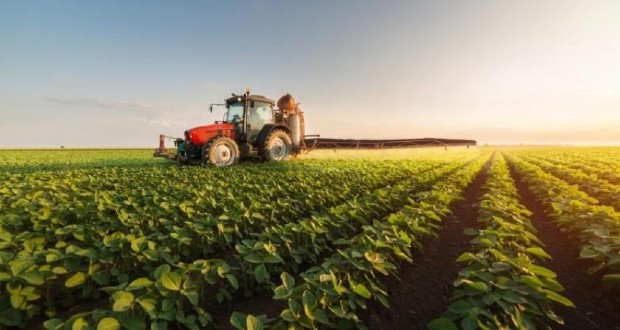 Új ünnepnapot jegyeztek be Ukrajnában