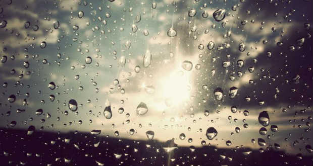 Tóthárpád Ferenc: Égi csíkós