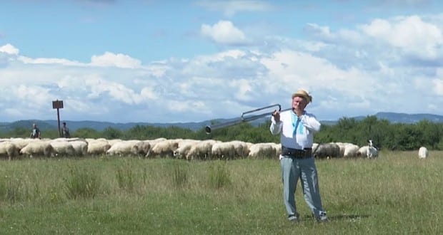 Kárpátalja ma: egzotikus állatfarm Aknaszlatinán