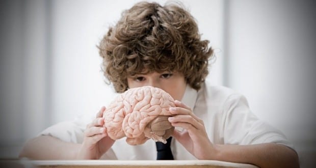 Kiderült, mitől függ az intelligencia