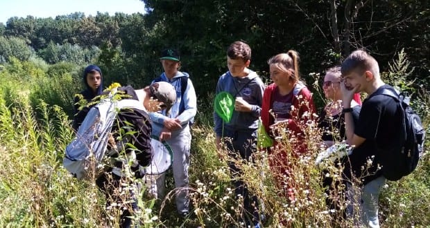 BioBlitz 2020 – II. Kárpátaljai Élőlényleltár Nagydobronyban