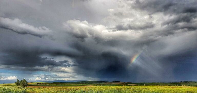 nap képe. Makó András