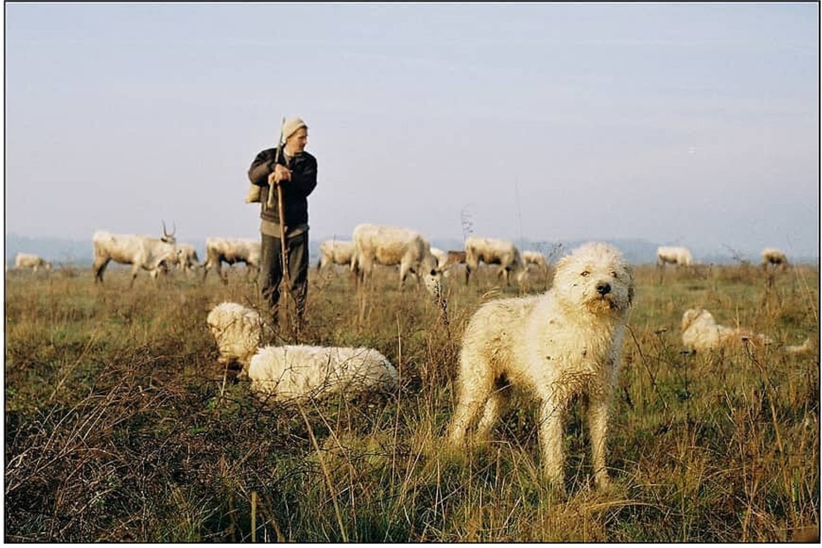 Makó András fotója.