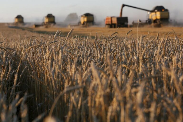 Price of 1 hectare of land in Ukraine may reach $10,000