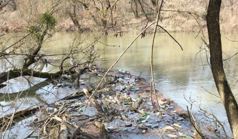 Tisza PET Kupa szemét