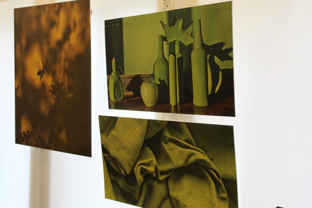 Csebikin kiállítás Beregszász