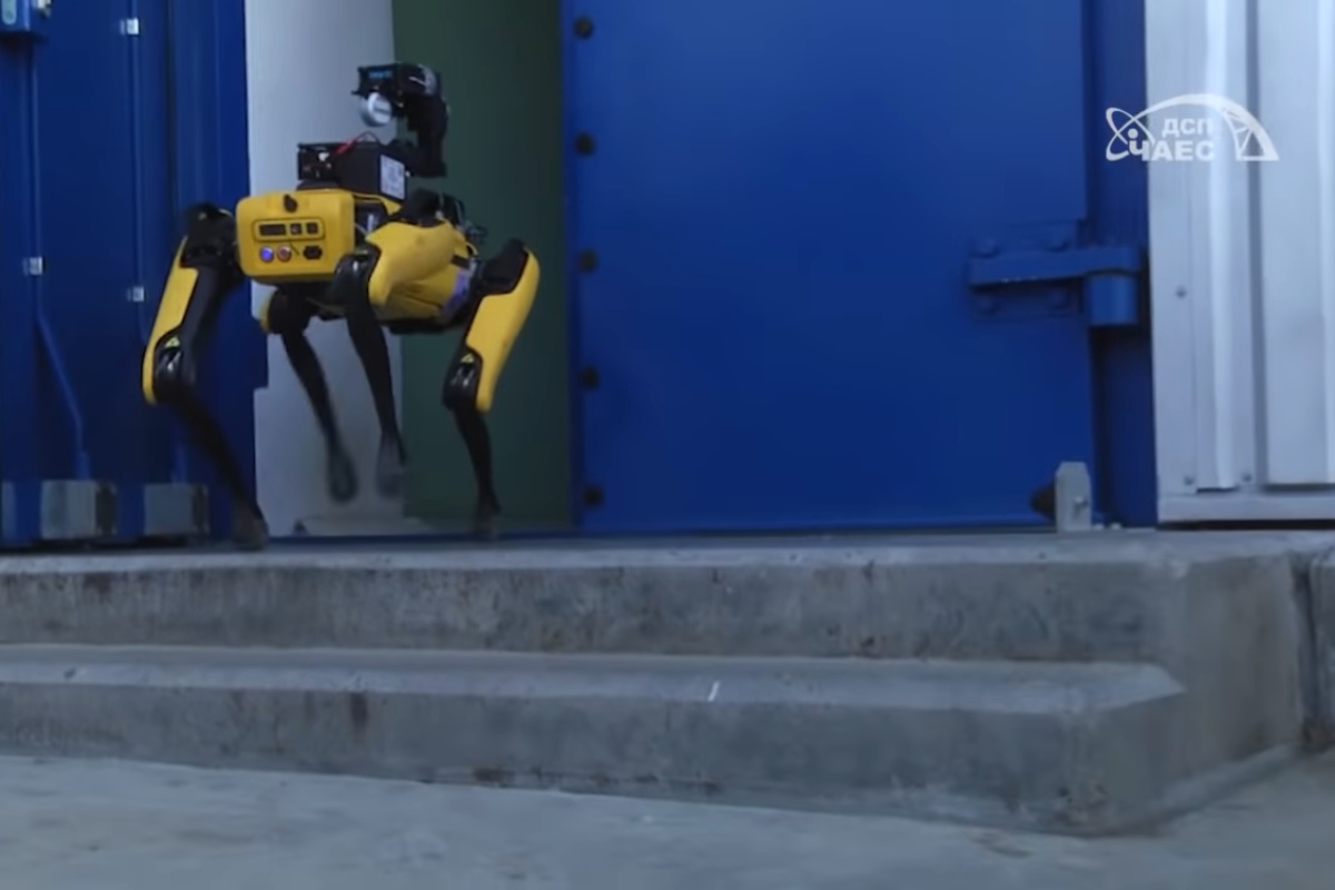 csernobili robotkutya