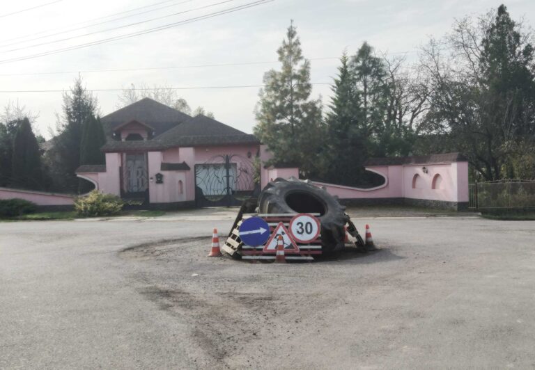 Fotó. A nap képe. Mezőgecse