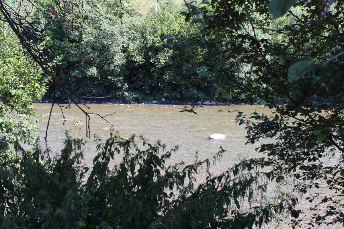víz folyó Terebesfejérpatak