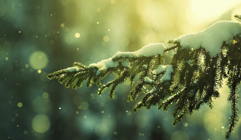 Zelk Zoltán: December