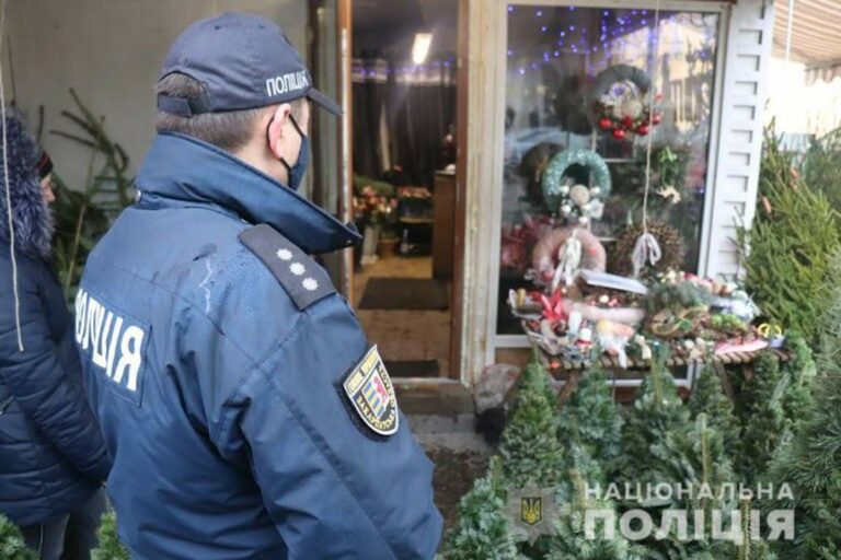 Ellenőrzik Kárpátalján a fenyőfapiacokat