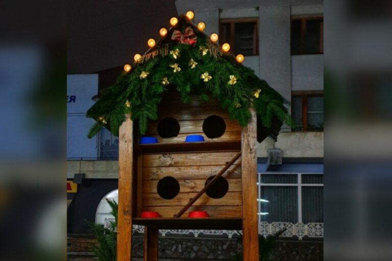 Gazdátlan macskáknak készítettek házat Munkácson