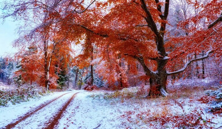 Petri György: Tél lesz