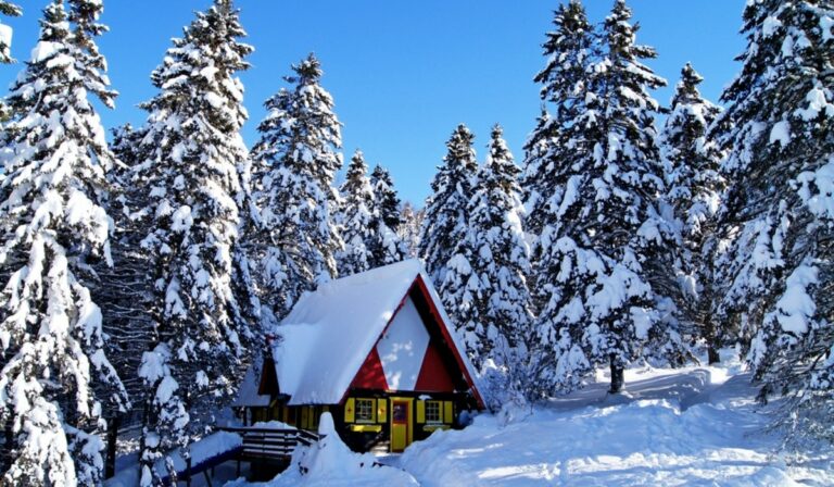 Kosztolányi Dezső : Ábrándjaim, ti…