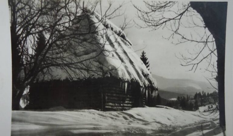 Kárpátalja anno: téli vers