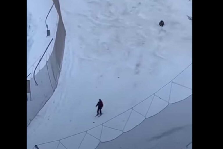 Medve üldözött egy síelőt a predeáli síközpontban