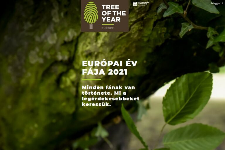 Február végéig lehet szavazni az Európai év fája verseny jelöltjeire