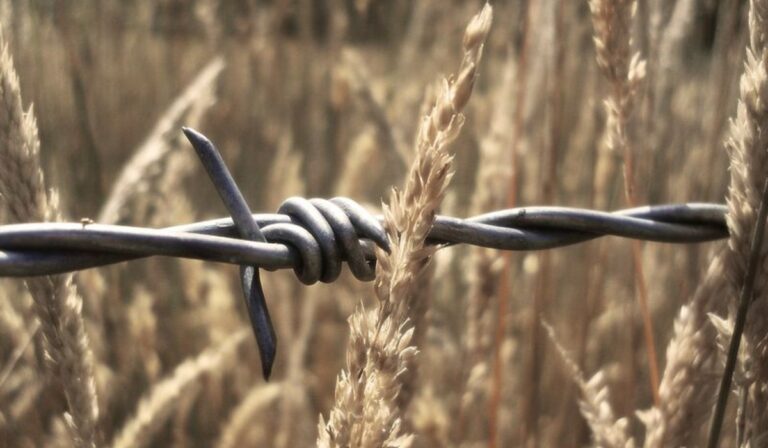 Megkezdte működését a Gulág- és Gupvikutató Intézet