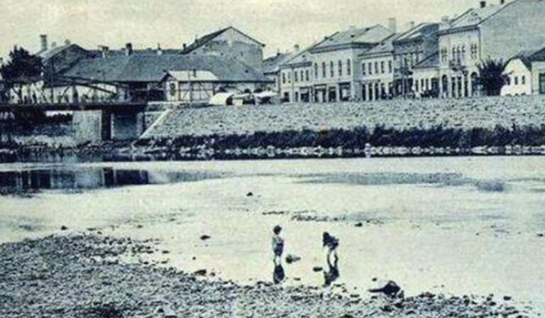 Kárpátalja anno: az ungvári fügefa esete