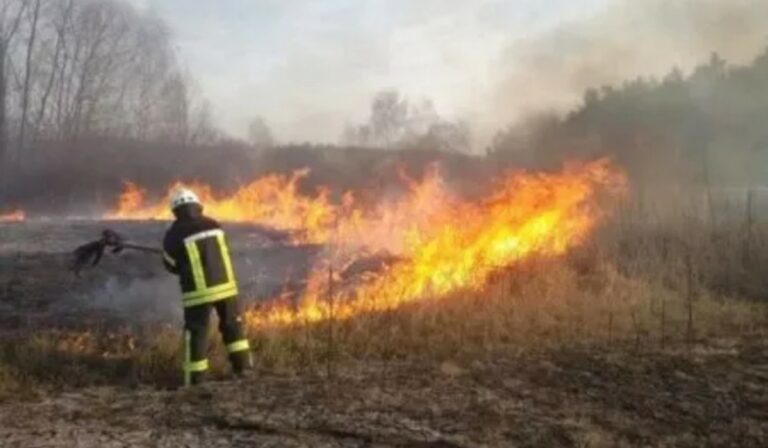 Tavaly 510 hektár földterület égett le Kárpátalján