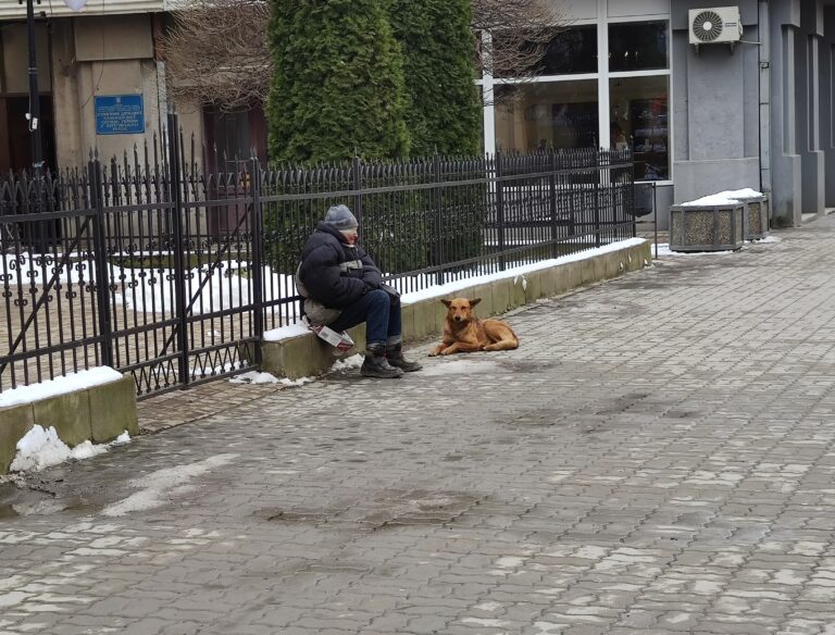 Hűség