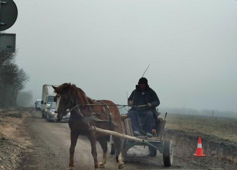 Szembesáv