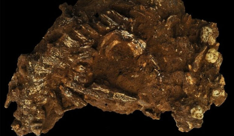 Az eddigi legrégebbi afrikai Homo sapiens-sírt tárták fel Kenyában