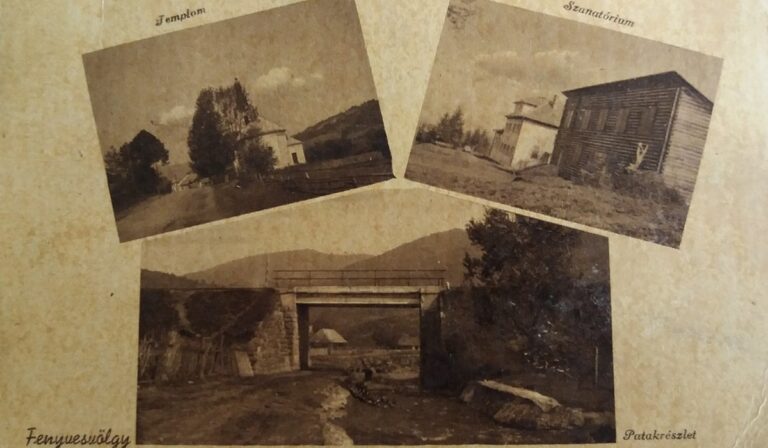 Kárpátalja anno: Fenyvesvölgy, azaz Sztavna, az ungi falu