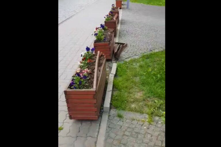 Előállították a beregszászi főtéren rongálókat