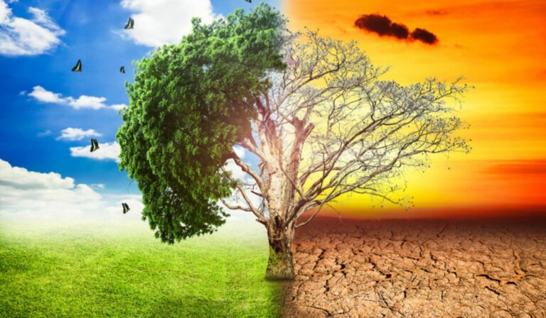 A klímaváltozásnak „elsöprő szerepe” volt a júliusi hőhullámokban