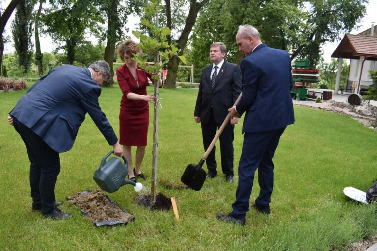 Tree planting at the Day of National Belonging