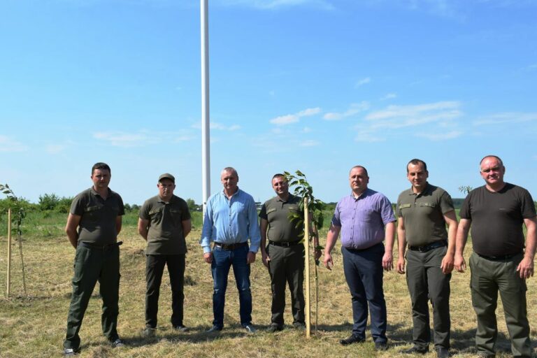 Szakura fákat ültettek Jánosiban