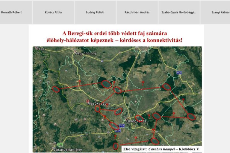 Kerekasztal-beszélgetés a Beregi-sík természeti értékeiről