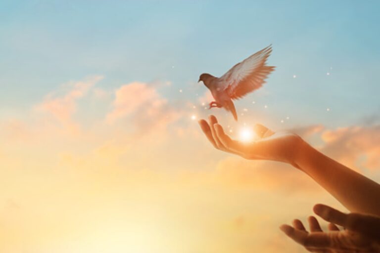 Emily Dickinson: Tollas kis jószág a remény