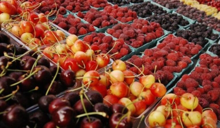 Elkezdődött az idei cseresznyeszezon