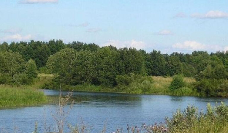Folyóban zuhant egy autó a Rahói járásban, a sofőrt még keresik