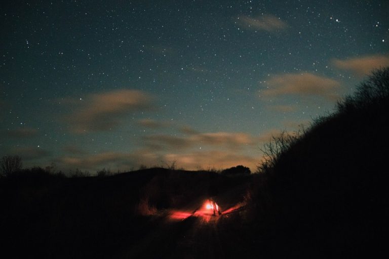 Reichard Piroska: Napok éjek