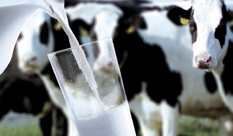 Emelkedik a tej ára Ukrajnában