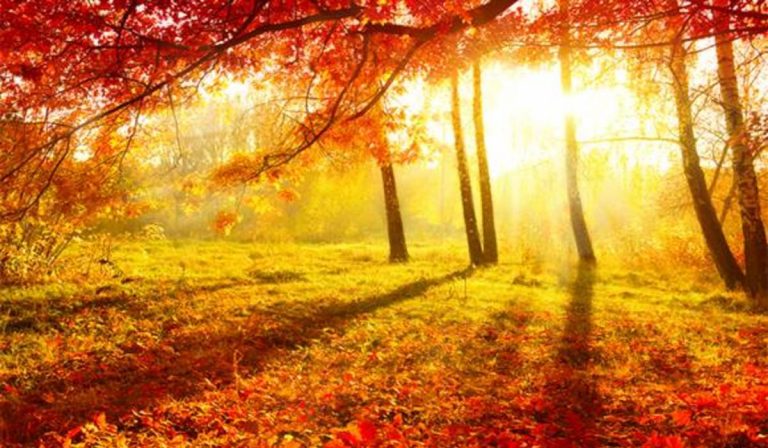 Október közepén várható a vénasszonyok nyara