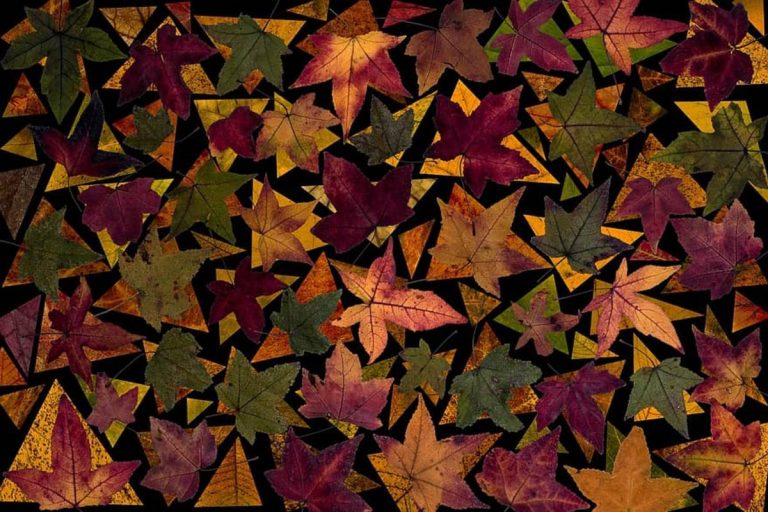 Csanádi Imre: Őszköszöntő