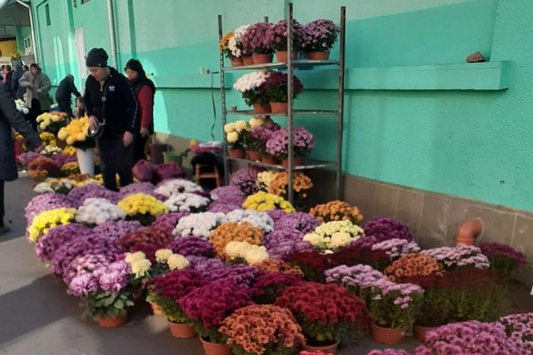 Mennyibe kerül a virág és a mécses mindenszentek előtt?