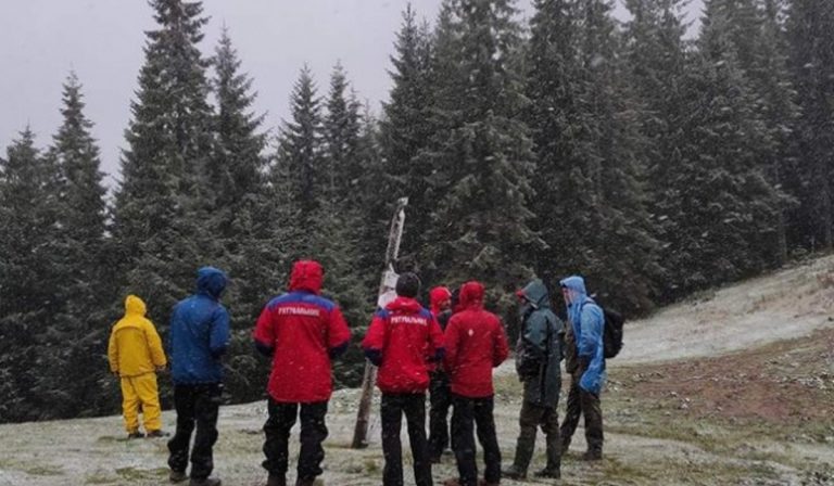 Hazasétált a két napja keresett gombázó
